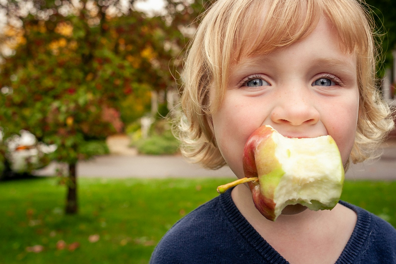 Niño pequeño comiendo una manzana como merienda saludable